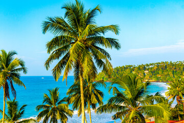 Beautiful paradise tropical beach waves palms Mirissa Beach Sri Lanka.