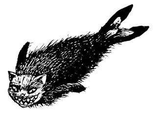 Cat Seal Sea Ocean Underwater Toothy Fluffy Cute Snail Black Striped