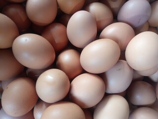 Collection of eggs seen from above