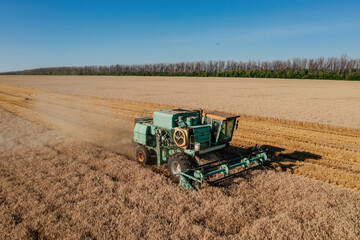 Obraz premium Combine harvester harvesting wheat at the field aerial view