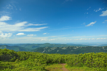 Obraz premium Beautiful mountain landscape in Carpathians, Ukraine