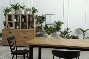 Table with chairs and wooden shelving unit, books and many potted houseplants in stylish room