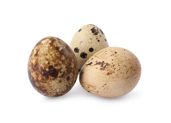 Naklejka na ściany i meble Beautiful speckled quail eggs on white background