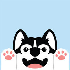 Funny siberian husky puppy, dog face flat design, vector illustration © Totostarkk9456