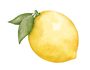 lemon fruit   watercolor illustration isolated element