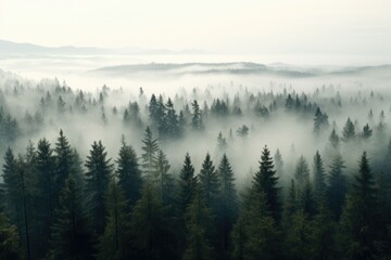 Fototapeta na wymiar Foggy pine forest view from above Generative AI.