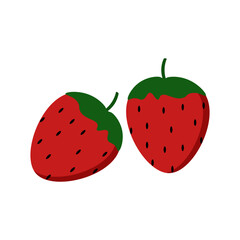 Fruit Vector Illustration