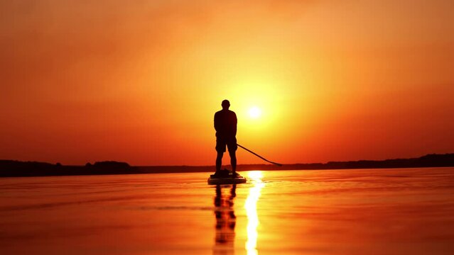 Male silhouette wearing t-shirt and shorts standing on sup board. Man floating by the river rowing with a paddle. Orange sunset backdrop. Low angle view.