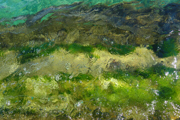 Turquoise beach water pattern with green weeds inside, Japan.