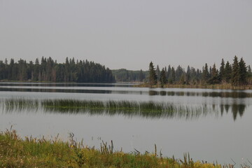 morning on the lake, Elk Island National Park, Alberta