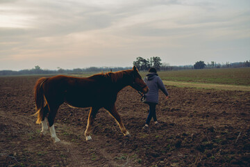 young Latin woman walking through the countryside with her quarter horse in Argentina