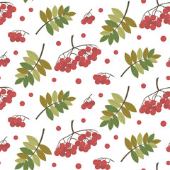 Seamless pattern with rowan berry and leaves. Decorative season background.