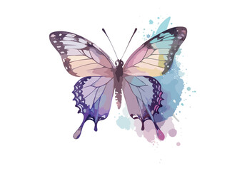 colorful butterfly vector