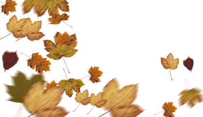 Fototapeta premium Digital png photo of falling autumn leaves on transparent background