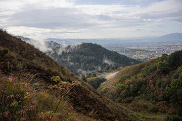 Naklejka premium landscape in the spring