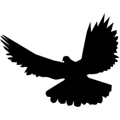 dove silhouette vector