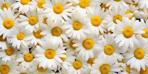 Chamomile background. Generative AI image