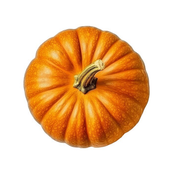 top down view of an orange pumpkin isolated on a white or transparent background, autumn season overlay mockup
