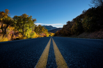The Two Lane