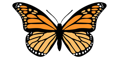 Big beautiful vector butterfly. Simple, orange elements on black wings. Isolated butterfly.