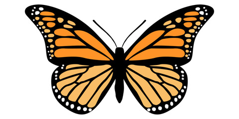 Big beautiful vector butterfly. Simple, orange elements on black wings. Isolated butterfly.