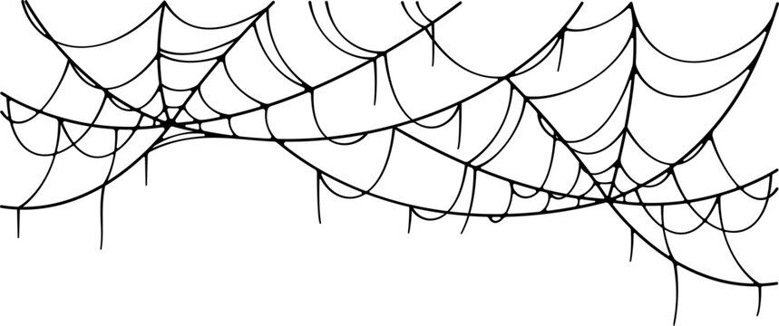 Spider Web Illustration