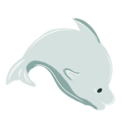 dolphin so cute 