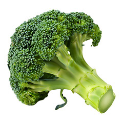 BROCCOLI PNG ON WHITE A.I GENERATIVE