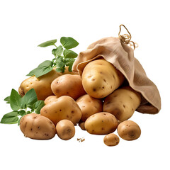 potatoes and burlap bag isolated on transparent background