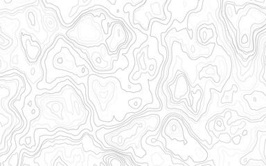 Abstract Topographic Contour Line Pattern in Black and White