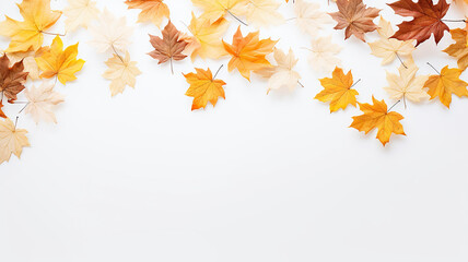 maple leaves on a white background isolated frame of fallen leaves autumn blank