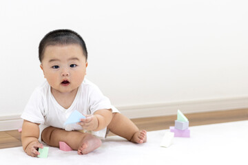 玩具のブロックで遊ぶ赤ちゃん（男の子、日本人、0歳、生後8か月）