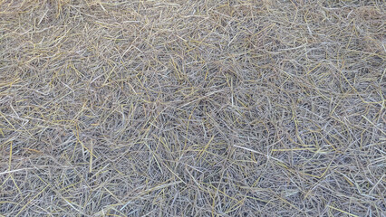dry straw on the floor from top view