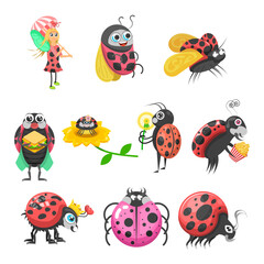 Set Abstract Collection Flat Cartoon Animal Insect Ladybug Vector Design Style Elements Fauna Wildlife