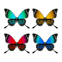 Obraz na płótnie Canvas Vector colorful butterfly realistic isolated on white background
