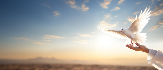 A white dove of Peace or simply, Peace dove, released or coming back to a pair of hands in the sunset or soft morning light. Hope, peace and Love. Copy Space.