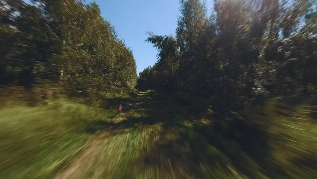 Fpv shooting of the forest, aerial photography of the summer forest