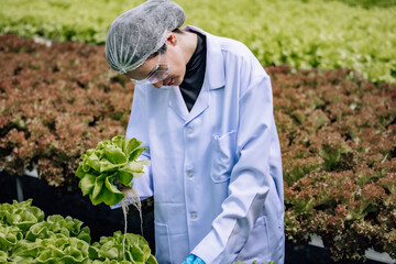 Hydroponic scientist uses pH meter for quality control, ensuring optimal conditions in cultivation