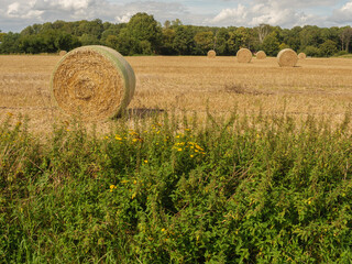 Spätsommer im Münsterland