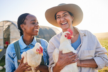 Farm, happy and women with chicken in nature, countryside or field for wellness, growth or ecology....