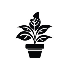 Silhouette of houseplant in black color. Potted plant isolated on white, home decor with indoor plant, vector isolated