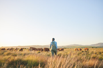 Woman, farmer and walking in countryside, blue sky and grass field with cow and cattle. Female...