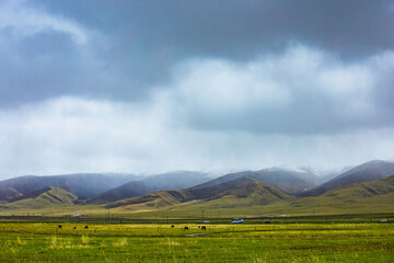 Obraz premium Hainan Tibetan Autonomous Prefecture, Qinghai Province-Qinghai Lake Scenery
