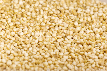 Quinoa close-up macro, selective focus. Food cooking texture