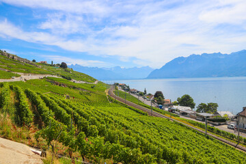 Fototapeta na wymiar View of the famous Lavaux terraced vineyards, lake Geneva and the Alps in canton Vaud, Switzerland