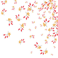 Red Leaves Background White Vector. Foliage Landscape Template. Pink Leaf Simple. Poster Illustration. Berries Backdrop.