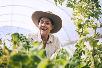 Mature woman, agriculture and greenhouse with plants, wow and smile, harvest and vegetable farming....