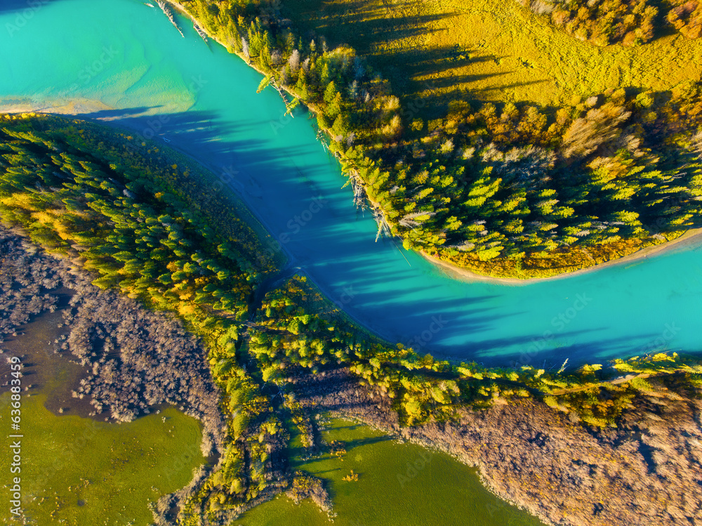 Wall mural fall landscape. a drone view of the river in the woods. an aerial view of an autumn forest. winding 