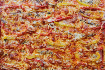 Pizza with peppers, anchovies and cheese