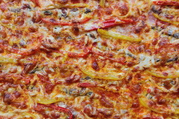 Pizza with peppers, anchovies and cheese
